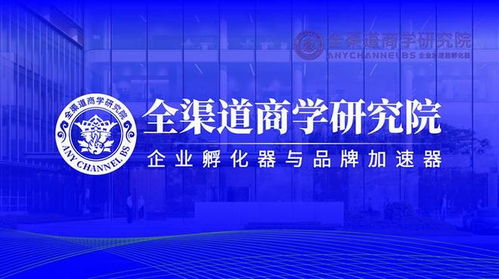 2023年國(guó)內(nèi)專業(yè)招商外包服務(wù)企業(yè)綜合能力排行榜 聚焦前三甲，探索企業(yè)管理咨詢新動(dòng)力