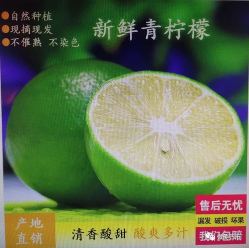 芒市注入兩千余萬資金，以電商賦能鄉村振興